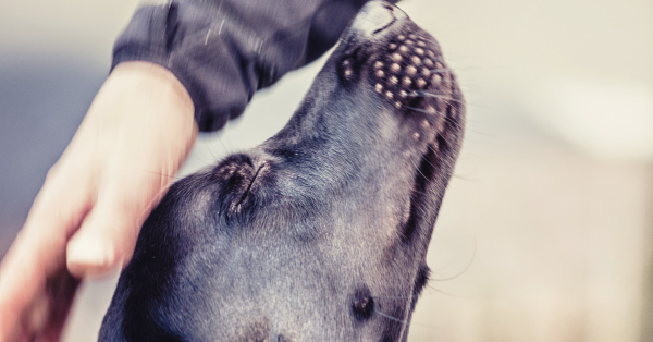 Training & Testing Times!